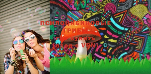 Альфа ПВП Белокуриха