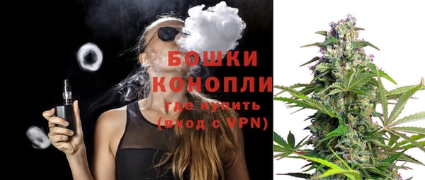 Альфа ПВП Белокуриха