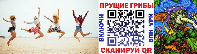 купить  сайты  гидра как войти  Галлюциногенные грибы Psilocybe  Красноуральск 